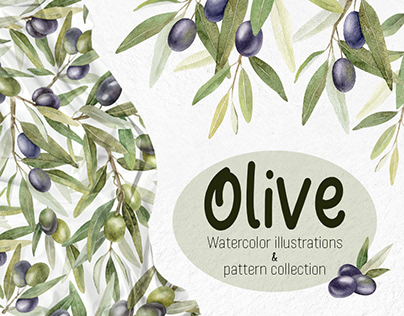 Olive branches. Watercolor illustrations