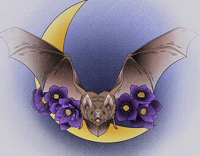 Midnight Bat