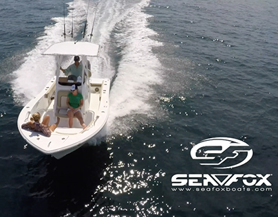 Sea Fox 206 Commander overview video