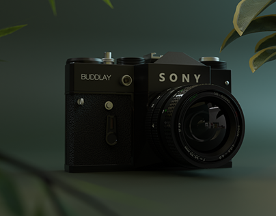 3d Sony Camera