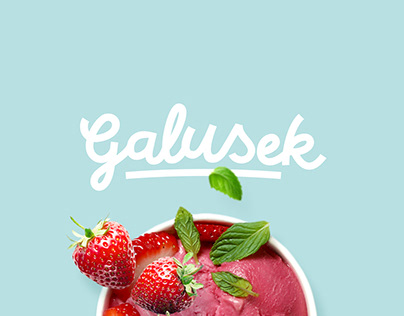 Galusek ice cream branding