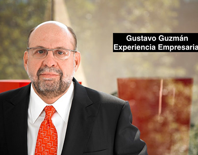 Gustavo Guzmán Experiencia Empresarial