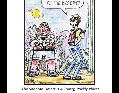 Final Desert Safety Comics