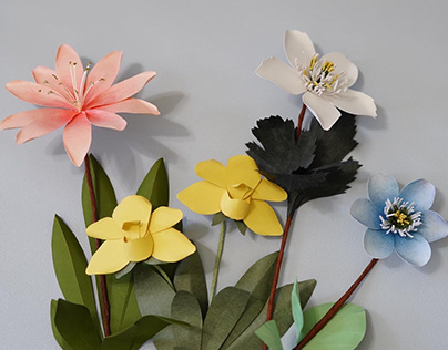 Project thumbnail - 멸종위기의 꽃을 종이로 재현합니다