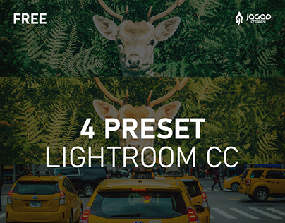 Free Presets Lightroom CC