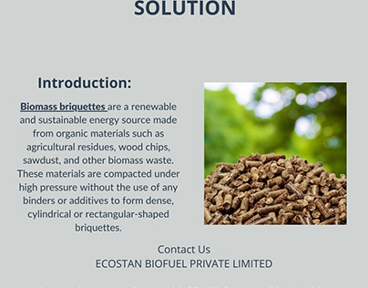 Biomass Briquettes: A Sustainable Energy Solution