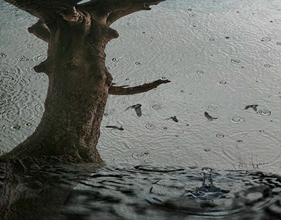 Lla lluvia lavando viejos árboles, resucitando pájaros.