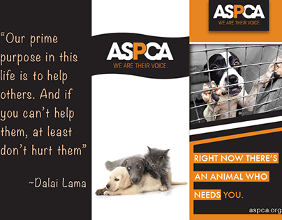 ASPCA Campaign