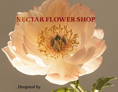 Nectar flower shop brand book