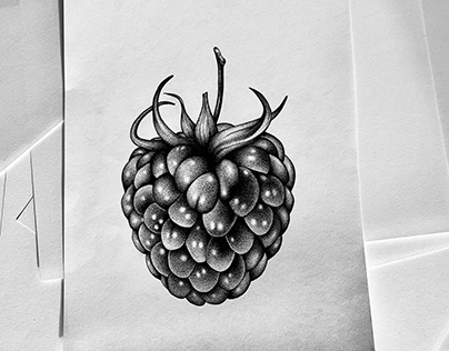 Pointilism Blackberry Illustration