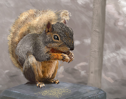 Squirrel.Digital painting .