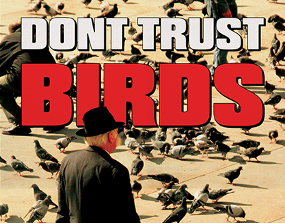 Poster Design: Don't Trust Birds