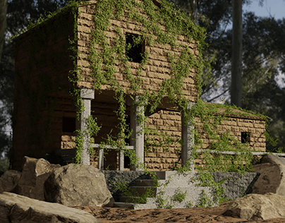 Terk edilmiş orman evi