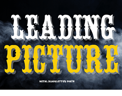 Leading Picture
