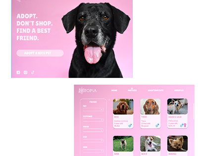 Pet Adoption Web Design