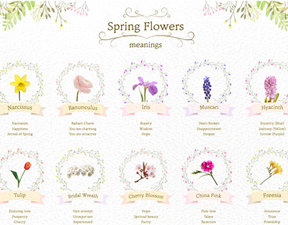Spring Flower meanings illustration