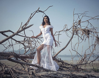 white fashion gown  imagery