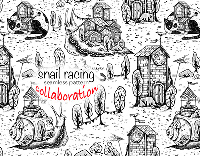 Collaboration Pattern Snail racing