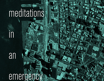 Meditations In An Emergency Book Cover
