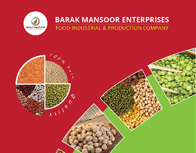 Barak Mansoor Enterprises Broucher Design
