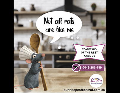 Rodent Pest Control Tarneit