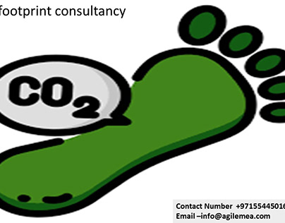 Carbon footprint consultancy
