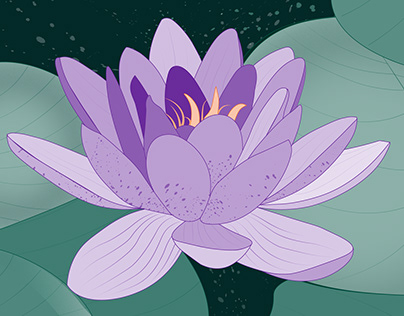 Project thumbnail - Lotus flower