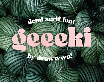 Geeeki - semi serif font