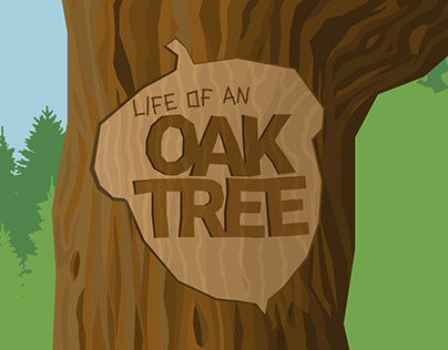 Life of an Oak Tree - Science Exhibit