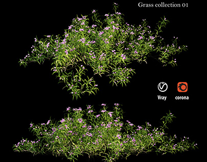 Grass collection 01