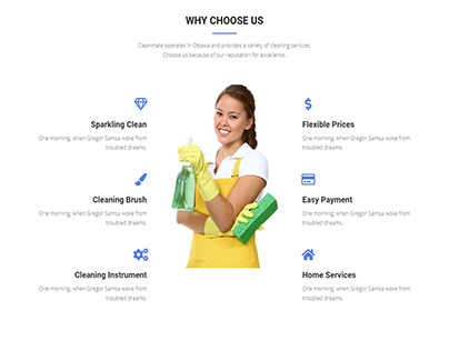 Cleaning Website