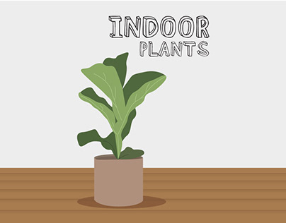 brochure - indoor plants