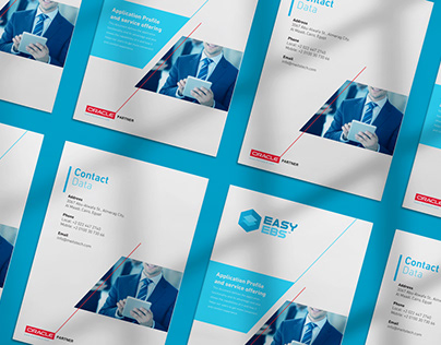 EASY EBS - Company Profile