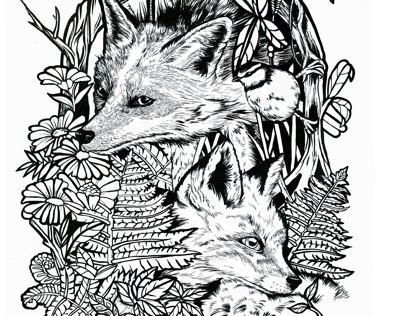 Little Fox Illustration