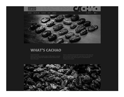 Cachao Website