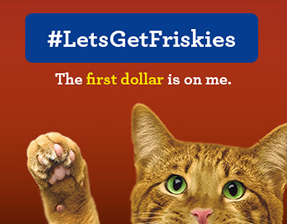 Friskies Dating Site Display Campaign