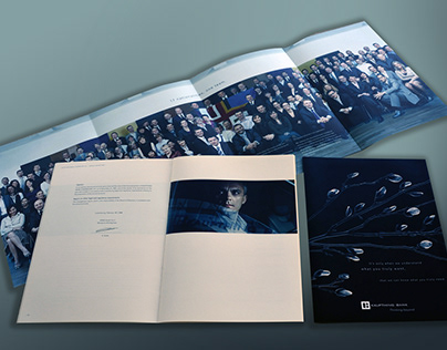 annual report and brochure for a icelandic bank.