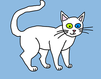 gato europeo blanco ojos dispares