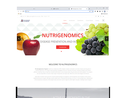 Website Design (static)