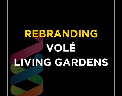 Rebranding - Proyecto Volé