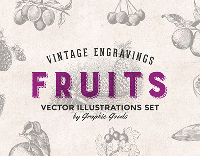 Fruits - Vintage Engraving Illustrations Set