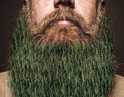 plant your beard