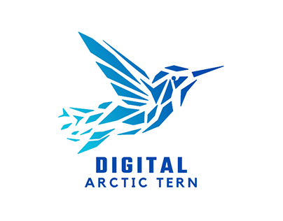 Digital Arctic Tern Brand Kit