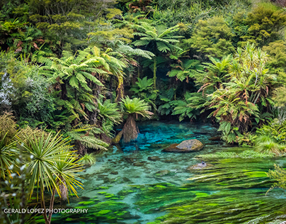 Blue Spring, New Zealand