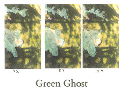 Identidade Visual de "Green Ghost"