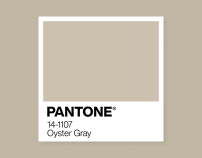 14-1107 Oyster Gray