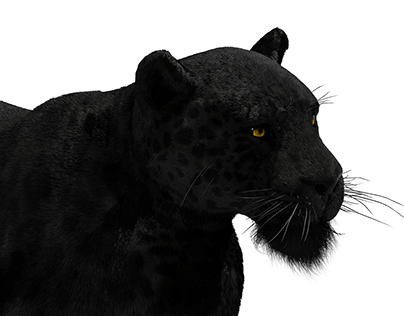 Black panther Jaguar Photorealistic