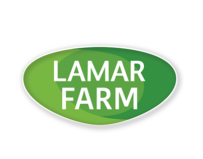 Lamar Social Media Designs