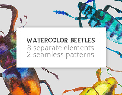 watercolor beetles