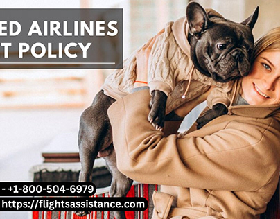 How to fly with your cat/dog on United Airlines